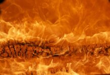 Z jakiego kraju pochodzi marka Erbauer? Z jakiego kraju pochodzi marka Erbauer?