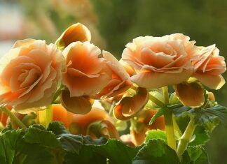 Czy do ukośnicy można zamontować tarcze do metalu?