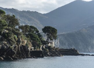 Ile kosztuje godzina pracy wózka widłowego?